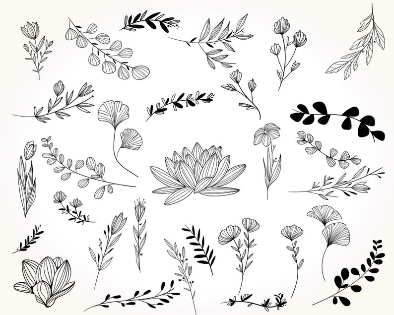 May include: A collection of black and white line drawings of various floral and botanical elements, including leaves, flowers, and stems. The drawings are simple and elegant, and would be perfect for use in a variety of creative projects.