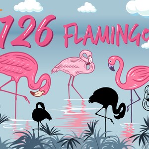 Op de afbeelding: Een digitale illustratie van roze flamingo's die in een blauw waterlichaam staan met groene rietstengels. De tekst "126 Flamingo" staat in roze bovenaan de afbeelding.