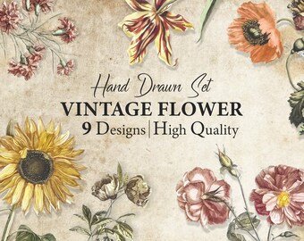 May include: A set of 9 hand-drawn vintage flower illustrations in a watercolor style. The flowers include sunflowers, roses, poppies, and lilies. The illustrations are high quality and perfect for digital scrapbooking, card making, and other creative projects.