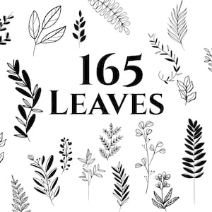 May include: A collection of 165 black and white leaf illustrations. The leaves are drawn in a simple, minimalist style and are perfect for adding a touch of nature to your designs.