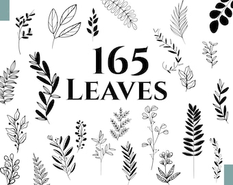 LEAVES SVG - 165 Leaf svg file, Leaves SVG Bundle, Branches svg, Leaves clipart, Hand drawn leaves, Leaf silhouette, Plant, Paper Leaves,