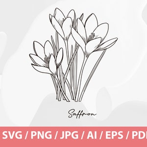 Hand Drawn Winter Flowers Helleborus Orientalis SVG, Queen of Night Tulip SVG, Crocus Sativus SVG, Saffron Flower, Black Tulip, Hellebore image 3