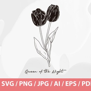 Hand Drawn Winter Flowers Helleborus Orientalis SVG, Queen of Night Tulip SVG, Crocus Sativus SVG, Saffron Flower, Black Tulip, Hellebore image 2