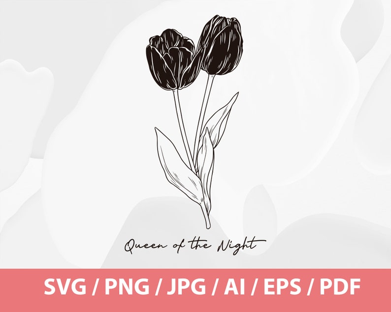 Hand Drawn Winter Flowers Helleborus Orientalis SVG, Queen of Night Tulip SVG, Crocus Sativus SVG, Saffron Flower, Black Tulip, Hellebore image 2