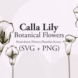 Calla Lilly Flowers - Botanical Flowers svg, Floral Svg, Bride flower svg, hand drawn svg, flowers svg, laurel Zantedeschia SVG,Calla Lilies