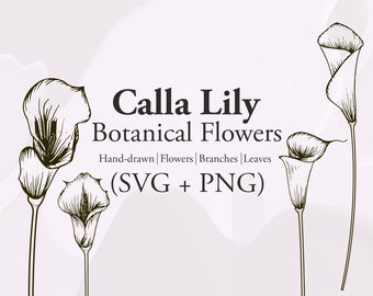 Calla Lilly Flowers - Botanical Flowers svg, Floral Svg, Bride flower svg, hand drawn svg, flowers svg, laurel Zantedeschia SVG,Calla Lilies