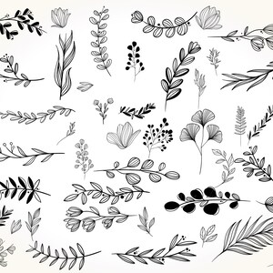 May include: A collection of black and white line drawings of various floral and botanical elements, including leaves, branches, flowers, and stems. These illustrations can be used for crafting, scrapbooking, or digital design projects.
