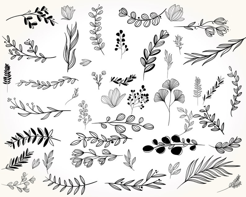 May include: A collection of black and white line drawings of various floral and botanical elements, including leaves, branches, flowers, and stems. These illustrations can be used for crafting, scrapbooking, or digital design projects.