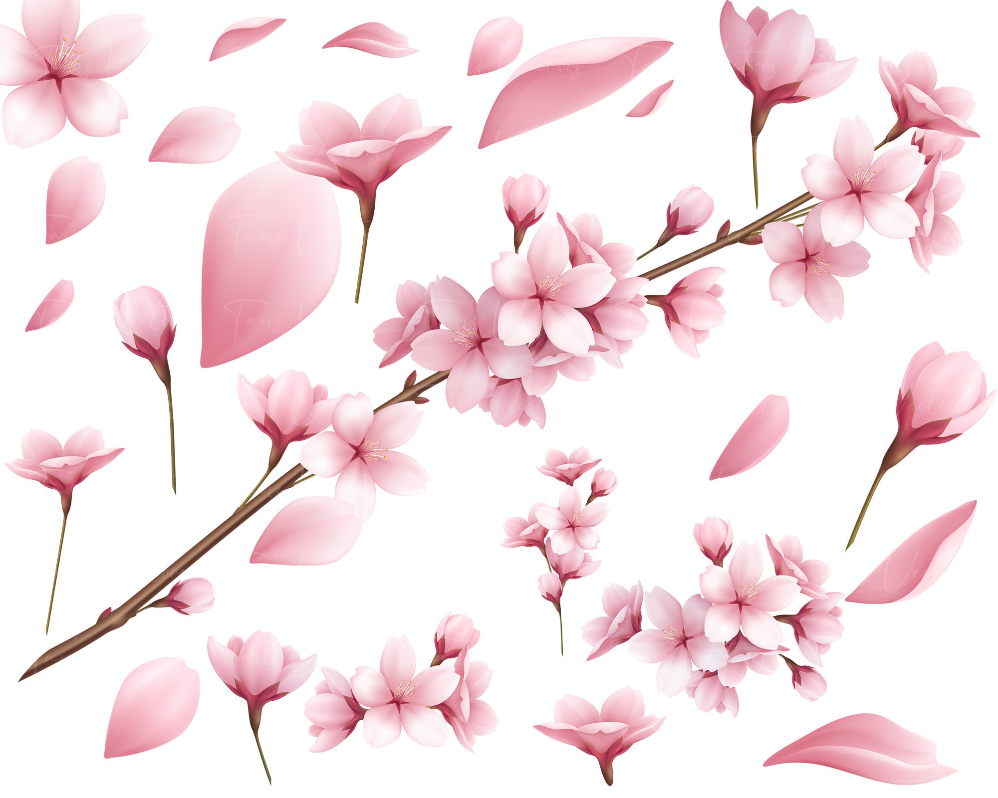 リアルで美しい桜の枝と花びらセット - 桜のクリップアート、桜の枝