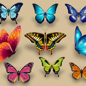 Excellent Butterfilies SVG - Butterfly SVG, Editable Butterfly, Butterfly Clipart, Butterflies Svg, Colorful Butterflies, Butterfly vector