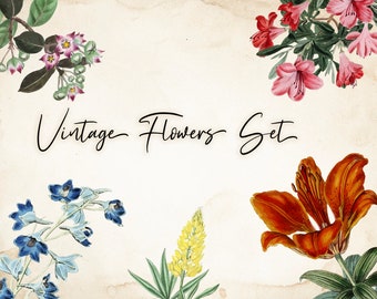 May include: Vintage Flowers Set illustration featuring a variety of flowers in different colors, including blue, yellow, pink, and orange. The flowers are arranged in a circular pattern around the text "Vintage Flowers Set".