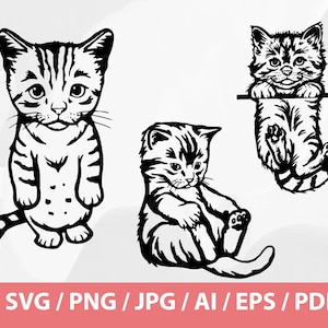 May include: Three black and white line drawings of kittens. One kitten is standing with its paws together, another is sitting with its paws tucked under its body, and the third is hanging upside down from a bar.