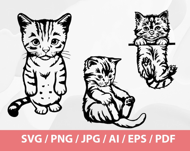 May include: Three black and white line drawings of kittens. One kitten is standing with its paws together, another is sitting with its paws tucked under its body, and the third is hanging upside down from a bar.