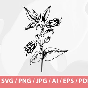 May include: Black and white botanical illustration of a flowering plant with bell-shaped blossoms and detailed leaves. The image includes the text "SVG / PNG / JPG / AI / EPS / PDF" at the bottom, indicating file formats.