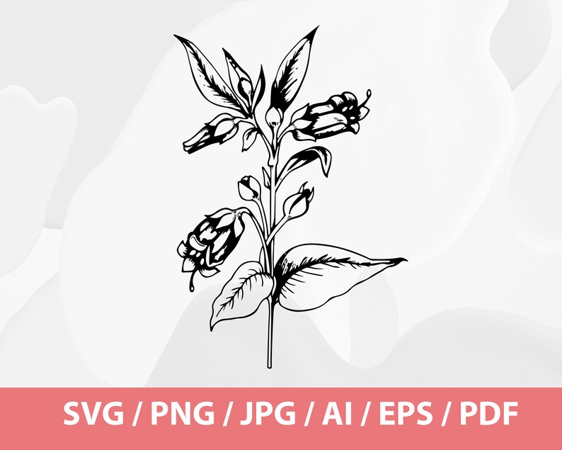 May include: Black and white botanical illustration of a flowering plant with bell-shaped blossoms and detailed leaves. The image includes the text "SVG / PNG / JPG / AI / EPS / PDF" at the bottom, indicating file formats.
