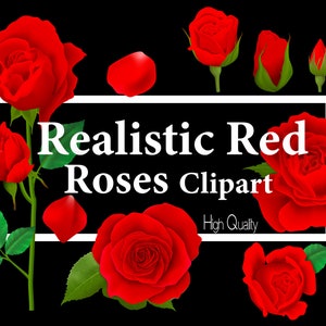 Red Roses Clipart, Realistic Roses, Red Rose SVG, Rose Clip Art, Rose png, rose realistic transparent set with red flowers-isolated download