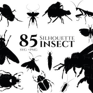 Insect Silhouette - Insect svg, Insect clipart, Bugs svg, Insect png, insect decal,  insects svg, Insect bundle,Insects png,Instant download