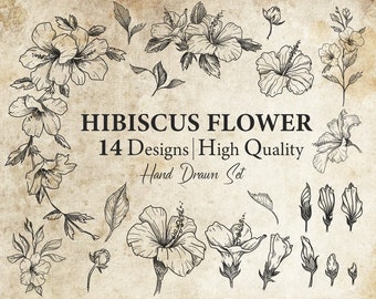 Hibiscus Flowers SET - Hibiscus svg, Flowers svg, Blooming Flower svg,flower decor,Vintage Flowers,Flowers SVG Bundle,Floral Decoration SVG,