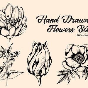 May include: A black and white hand-drawn floral set featuring five different flower illustrations. The text "Hand Drawn Flowers Set" is displayed in elegant script, with "PNG + SVG" below.