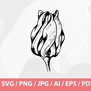 May include: Black and white line art illustration of a closed flower bud. The bud is detailed with shading and texture, suggesting the petals are tightly furled. The image includes the text "SVG / PNG / JPG / AI / EPS / PDF" at the bottom.