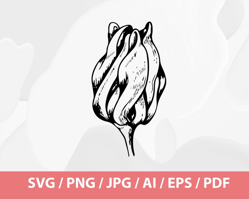 May include: Black and white line art illustration of a closed flower bud. The bud is detailed with shading and texture, suggesting the petals are tightly furled. The image includes the text "SVG / PNG / JPG / AI / EPS / PDF" at the bottom.