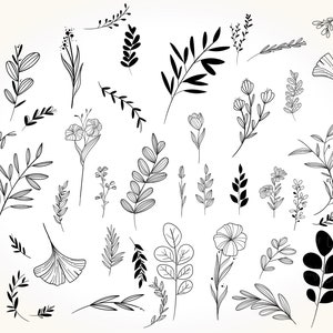 May include: A collection of black and white line drawings of various floral elements, including leaves, branches, and flowers. These illustrations are perfect for adding a touch of nature to digital designs, invitations, or other creative projects.