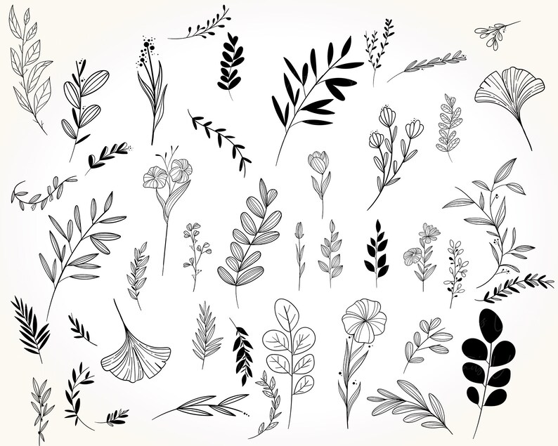 May include: A collection of black and white line drawings of various floral elements, including leaves, branches, and flowers. These illustrations are perfect for adding a touch of nature to digital designs, invitations, or other creative projects.