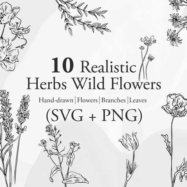 Realistic Hand Drawn Herbs Wild Flowers -  Floral Svg, plant svg, Doodles, branches svg file, hand drawn svg, leaves svg, flowers,leaf svg