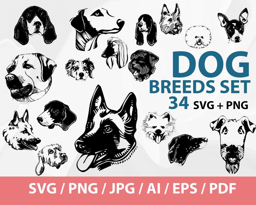 Dog Breeds Silhouette BUNDLE Dog Svg Bundle Dog Silhouette - Etsy Canada