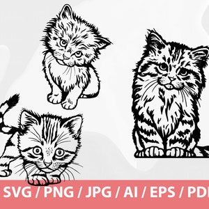 May include: Three black and white line drawings of cats. The cats are in different poses, one is sitting, one is standing, and one is walking.