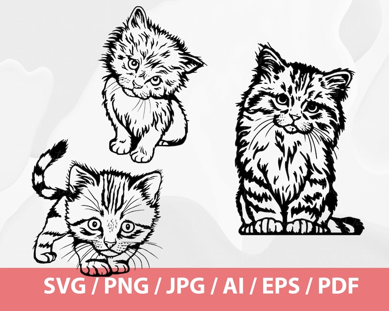 May include: Three black and white line drawings of cats. The cats are in different poses, one is sitting, one is standing, and one is walking.