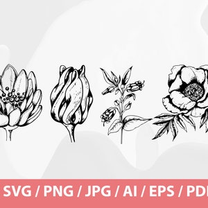 May include: Black and white floral illustrations of a flower, a bud, a sprig, and a peony. The image includes the text "SVG / PNG / JPG / AI / EPS / PDF" at the bottom.