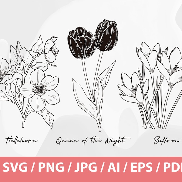 Hand Drawn Winter Flowers - Helleborus Orientalis SVG, Queen of Night Tulip SVG, Crocus Sativus SVG,  Saffron Flower, Black Tulip, Hellebore