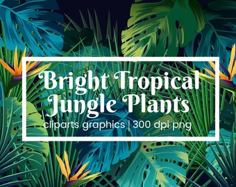 Heldere tropische jungle planten bladeren clipart-tropische achtergrond met jungle planten vector exotische patroon met palmbladeren, instant download