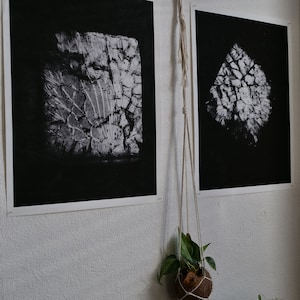 Art photographs Art print Artwork Abstract Black and White Decoration