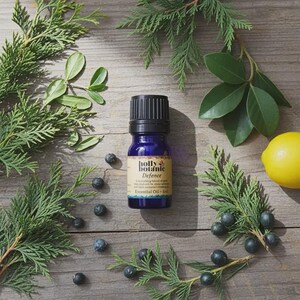 Op de afbeelding: Een kleine, donkerblauwe etherische olie fles met een zwarte dop, met het label "Defence" van Holly Botanic, staat op een houten oppervlak. De afbeelding is omgeven door groene takjes, bessen, bladeren en een gele citroen, wat een natuurlijk, botanisch thema creëert.
