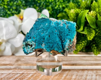 Chrysocolla and Quartz from Peru, Natural Minerals, Home Decor