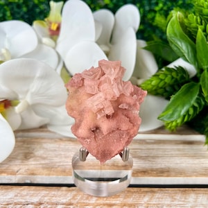 May include: A pink mineral specimen with a crystalline structure, mounted on a clear acrylic stand. The mineral has a rough, textured surface and is set against a backdrop of white flowers and green foliage.