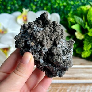 Op de afbeelding: Een donkergrijs, ruw getextureerd, mineraalmonster met een cluster van kleine, afgeronde formaties. Het monster wordt in een hand gehouden.