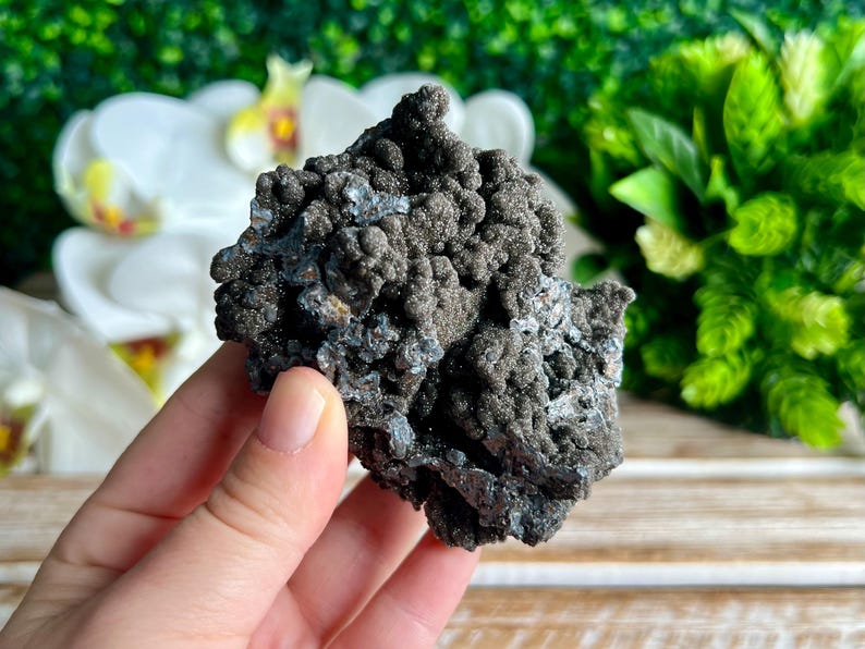 Op de afbeelding: Een donkergrijs, ruw getextureerd, mineraalmonster met een cluster van kleine, afgeronde formaties. Het monster wordt in een hand gehouden.