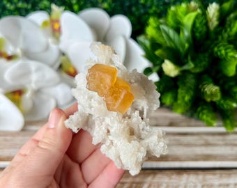 Op de afbeelding: Een mineraal specimen met een cluster van witte kristallen met twee goud-oranje, kubusvormige kristallen. Het stuk is geplaatst tegen een achtergrond van witte orchideeën en groen gebladerte, wat een natuurlijke esthetiek creëert.