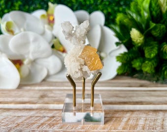 Op de afbeelding: Een wit en oranje kristalcluster specimen gemonteerd op een heldere acryl basis met goudkleurige metalen steunen. De kristalformatie heeft een getextureerd, korrelig uiterlijk. De achtergrond bevat witte orchideeën en groen gebladerte.