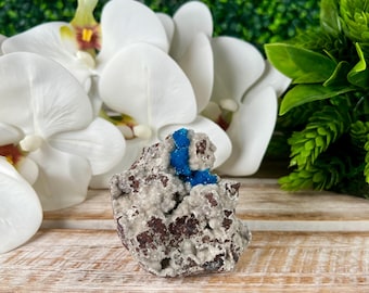 RARE Deep Blue Cavansite on Heulandite, Mineral Collection