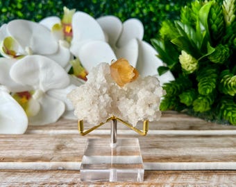 Op de afbeelding: Een cluster van witte kristallen met een goud-oranje kristal erop, gepresenteerd op een heldere acryl standaard met een goudkleurig metalen frame. De achtergrond toont witte bloemen en groen gebladerte.