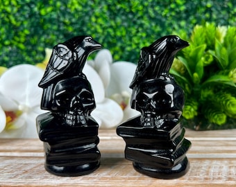YOU PICK Black Obsidian Skull Raven Book Carving, Crystal Carvings, Natural Minerals, Home Decor