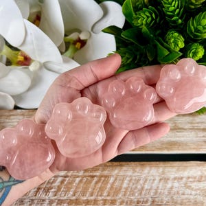 YOU PICK Rose Quartz Paws, Crystal Carvings, Natural Minerals, Home Decor