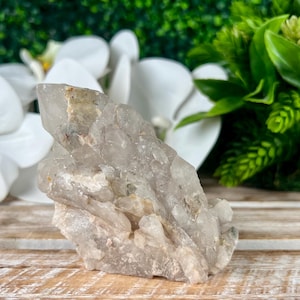 May include: A raw, natural quartz crystal cluster with a clear, translucent appearance. The crystal has a pointed tip and a rough, textured surface. The background features white orchids and green foliage, creating a natural aesthetic.
