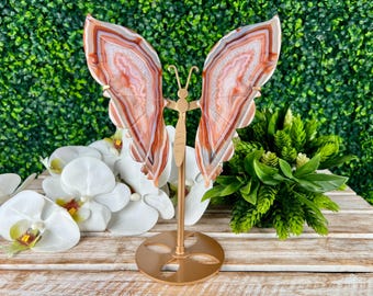 Carnelian Agate Butterfly Wings with Custom Gold Stand, Crystal Carvings, Home Decor