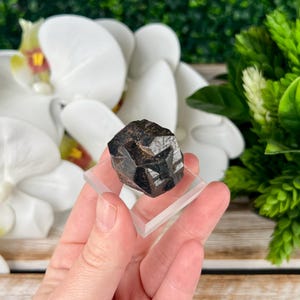 May include: A dark brown, faceted crystal is displayed on a clear acrylic stand. The crystal has a complex geometric shape and a reflective surface. The background features white orchid flowers and green foliage.