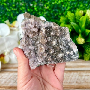 Black Amethyst with Purple and Yellow Undertones, Druzy Galaxy Amethyst Cluster, Black Amethyst Geode, Natural Mineral Specimen